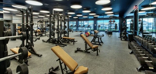 Weight racks benches and dumbbells gym area at Canvas in Tempe Student Accommodation