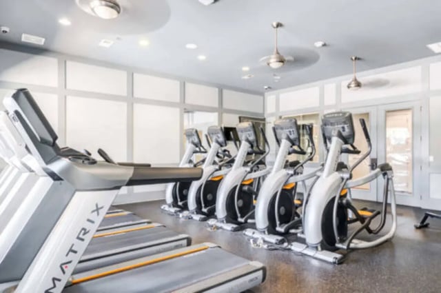 Treadmills and ellipticals gym equipment at Brexx at State College in State College Student Accommodation