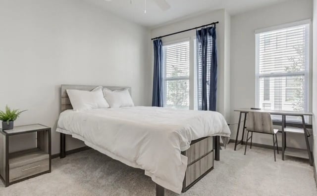 Bed nightstand desk chair and plant bedroom at The Row At The Stadium in Columbia Student Accommodation