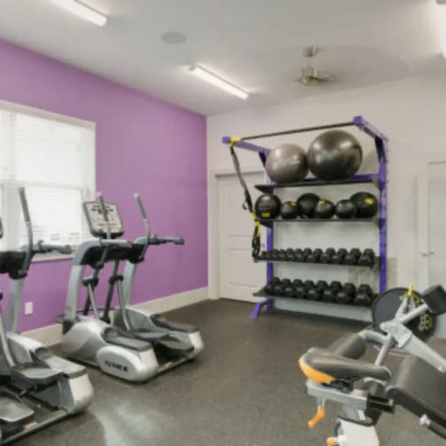 Elliptical machines dumbbells stability balls gym at Bellamy Florence in Florence Student Accommodation
