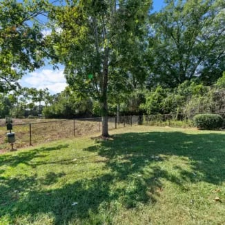 Fenced grassy area with trees exterior at Bellamy Milledgeville in Milledgeville Student Accommodation