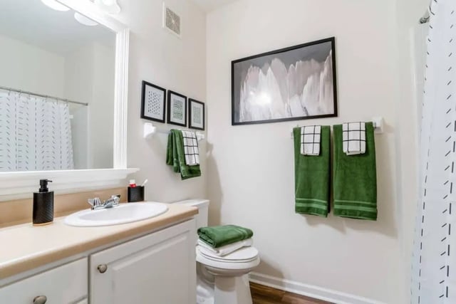 Sink towels artwork shower curtain Bathroom at The Province Greensboro in Greensboro Student Accommodation