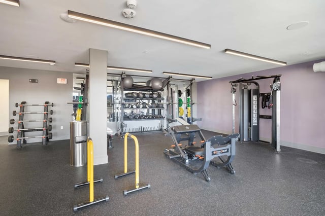 Weight racks bars equipment and machines gym at Altitude Baton Rouge | Apartment Complex in Baton Rouge Student Accommodation