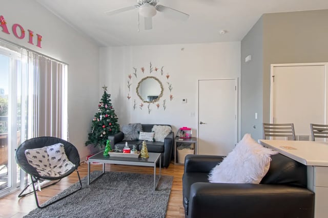 Black leather couches Christmas tree rug living room at The Q'ube in Springfield Student Accommodation