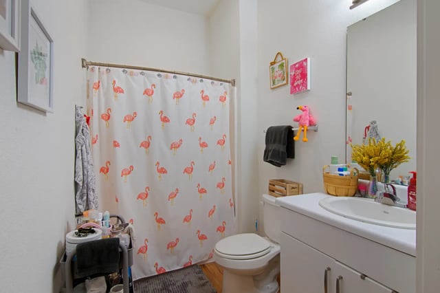 Flamingo shower curtain toilet sink and vanity bathroom at The Q'ube in Springfield Student Accommodation