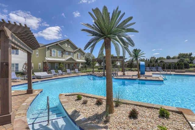 Palm trees pool lounge chairs buildings exterior at Cobalt Row in Murfreesboro Student Accommodation