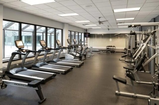 Treadmills exercise machines weights gym at The Quad On Delaware in Minneapolis Student Accommodation