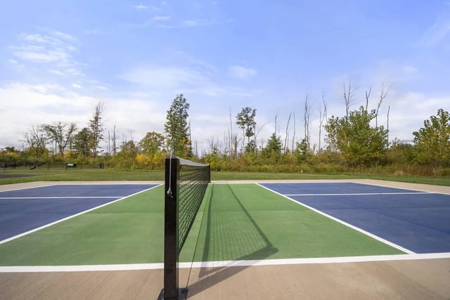 Outdoor court with net and blue green surface Playing area at Block20