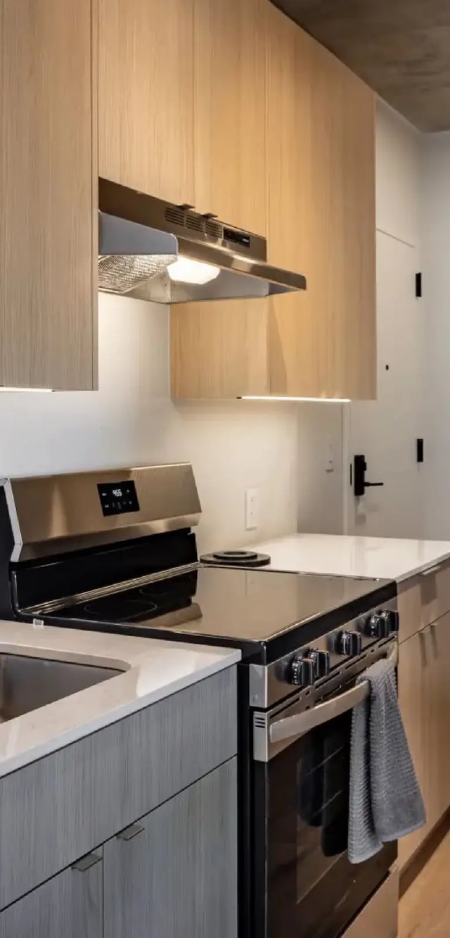 Modern kitchen with stainless steel appliances and wood cabinets kitchen at Straits Row in Chicago Student Accommodation