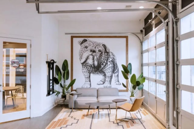 Sofa plants large dog art glass garage door living room at Athens Ridge in Athens Student Accommodation