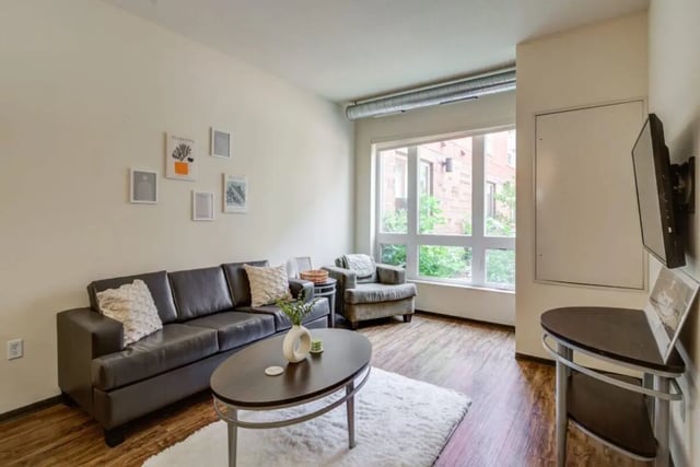 Dark couch armchair oval coffee table fluffy rug living room at The Knoll Dinkytown in Minneapolis Student Accommodation