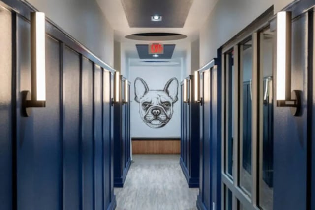 French bulldog art modern hallway Corridor at The District on 5th in Tucson Student Accommodation