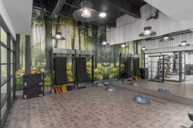 Gym equipment, bosu balls, forest mural, gym at ANOVA uCity Square in Philadelphia Student Accommodation