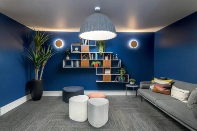 Sofa shelves ottomans plant modern living room at The District on Apache in Tempe Student Accommodation