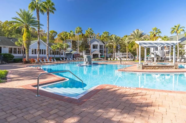 Large pool with lounge chairs and palm trees Swimming pool at Hideaway Pool in Gainesville Student Accommodation