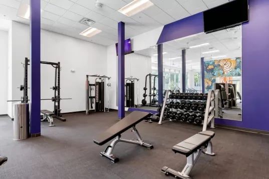 Weight racks and benches gym area at GrandMarc Clemson in Clemson Student Accommodation