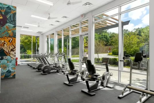 Treadmills ellipticals stationary bikes gym equipment gym at GrandMarc Clemson in Clemson Student Accommodation