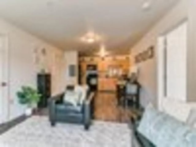 Armchair plant and kitchen area living room at The Grove Apartments Ames in Ames Student Accommodation