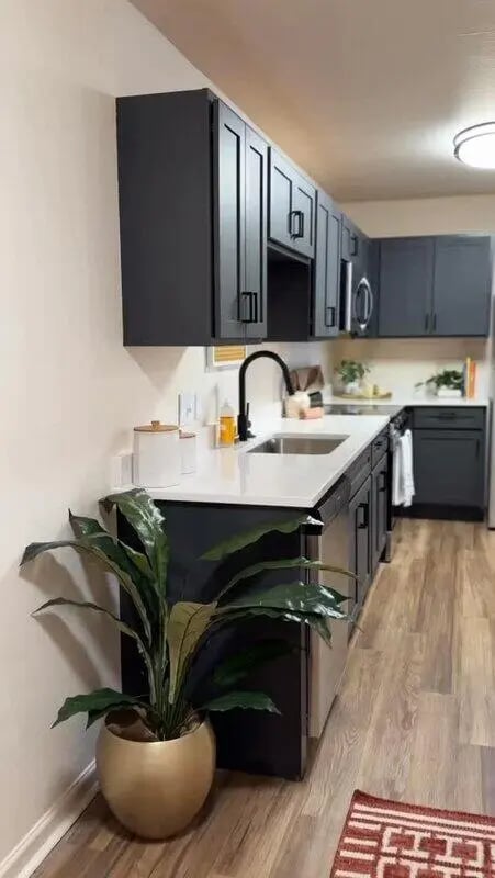 Dark cabinets sink faucet and plant kitchen at The Grove Apartments Ames in Ames Student Accommodation