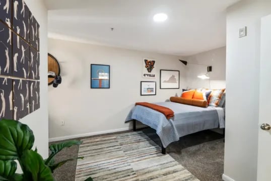 Bed artwork rug and plant bedroom at Grandmarc at The Corner in Charlottesville Student Accommodation