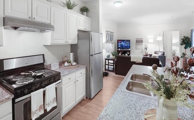 Kitchen with stainless steel appliances and living area living room at Greene Crossing in Columbia Student Accommodation