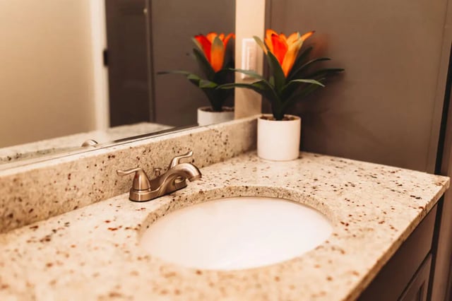 Sink faucet granite countertop and potted plants bathroom at College Corners on High in Farmville Student Accommodation