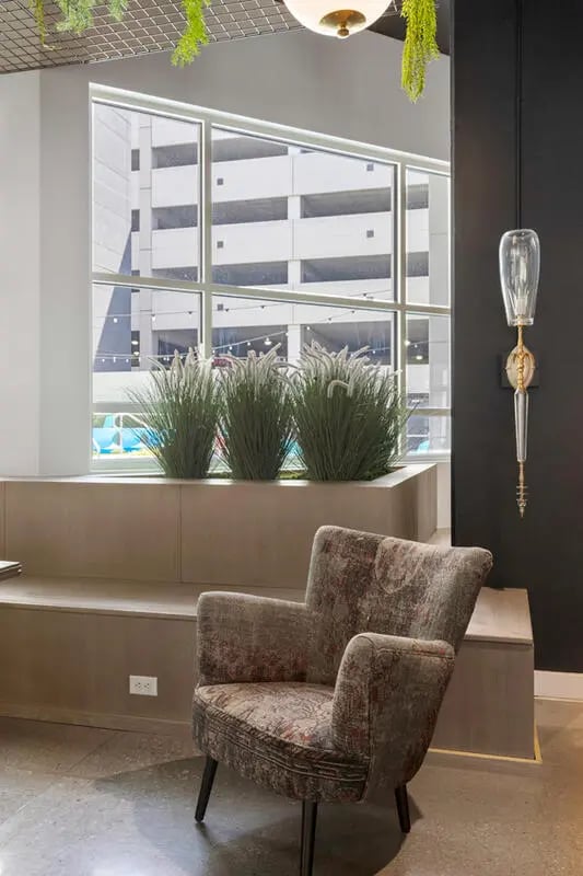 Armchair by window plants lounge area at Atmosphere Lincoln in Lincoln Student Accommodation