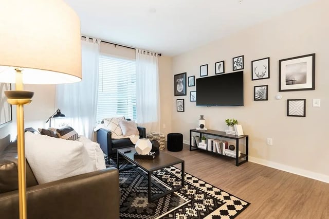 Sofa television coffee table and framed art living room at The Indy in Marietta Student Accommodation