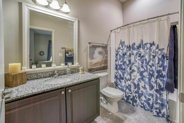 Vanity toilet shower curtain painting bathroom at University Edge Apartments in Akron Student Accommodation