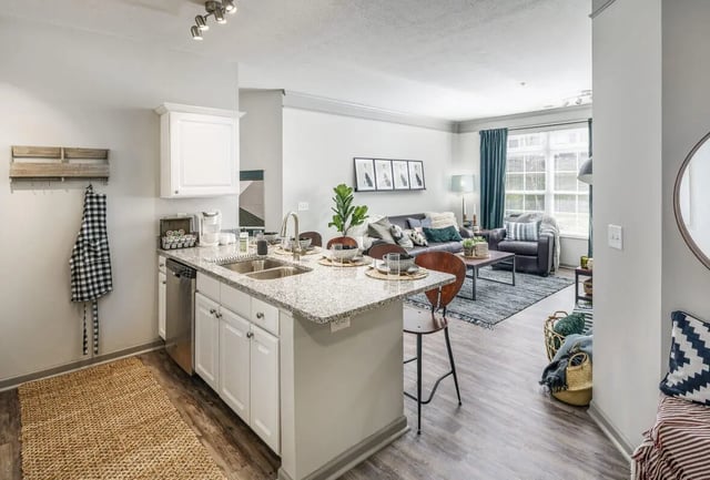 Kitchen with sink and living room area at The Summit at Coates Run in Athens Student Accommodation