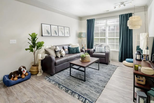 Leather sofa armchair coffee table rug living room at The Summit at Coates Run in Athens Student Accommodation