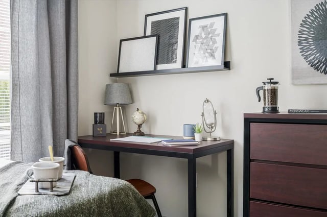 Desk lamp globe framed art coffee press study area at The Summit at Coates Run in Athens Student Accommodation