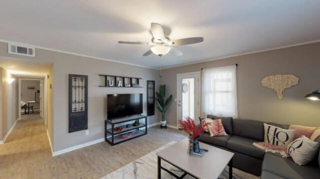 Sofa television plant and artwork living room at Hillside Commons in Tuscaloosa Student Accommodation