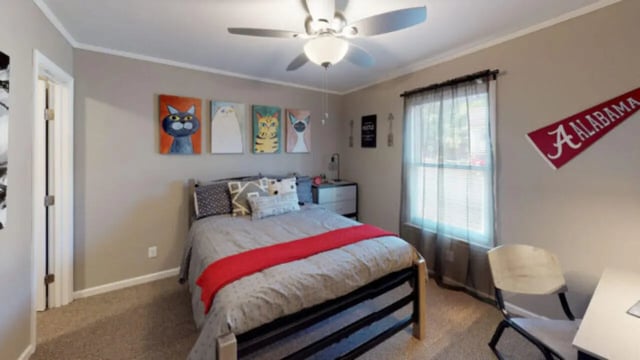 Bed with cat art Alabama flag and desk bedroom at Hillside Commons in Tuscaloosa Student Accommodation
