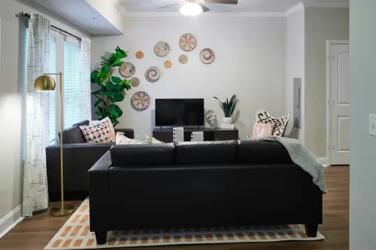 Sofa TV plant wall decor and floor lamp living room at Knox Ridge in Knoxville Student Accommodation