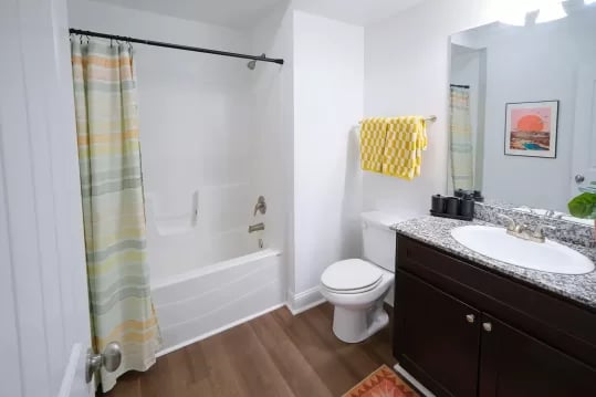 Shower bathtub toilet vanity and sink bathroom at Knox Ridge in Knoxville Student Accommodation