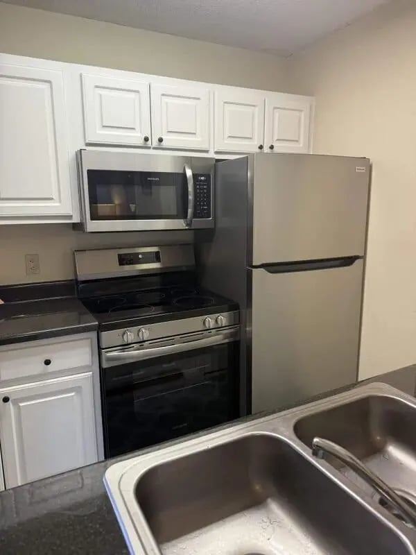 Stainless steel appliances double sink kitchen at Market 100 in Statesboro Student Accommodation