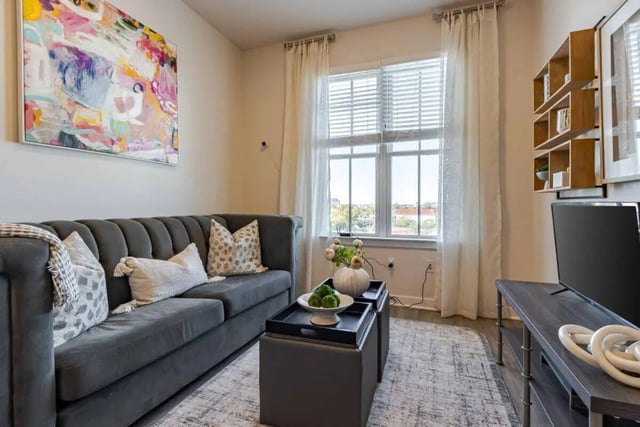 Gray sofa pillows painting abstract art living room at Hoffler Place in Charleston Student Accommodation