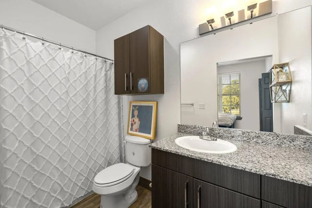 Toilet artwork shower curtain vanity sink bathroom at Holleman Crossing in College Station Student Accommodation