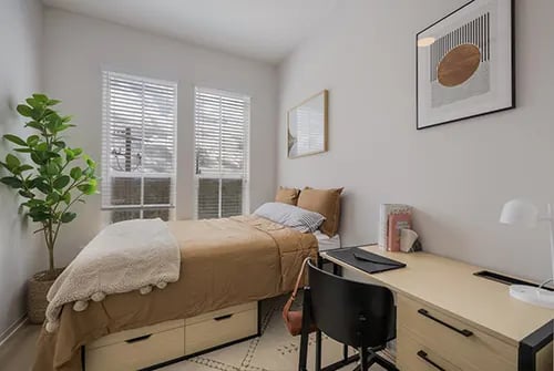 Bed desk plant and art bedroom at HERE Reno in Reno Student Accommodation