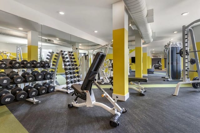 Dumbbells racks weight bench gym equipment fitness room at Paloma Raleigh in Raleigh Student Accommodation