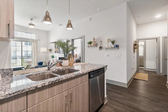 Granite countertop double sink and dishwasher kitchen living area at Paloma West Midtown in Atlanta Student Accommodation