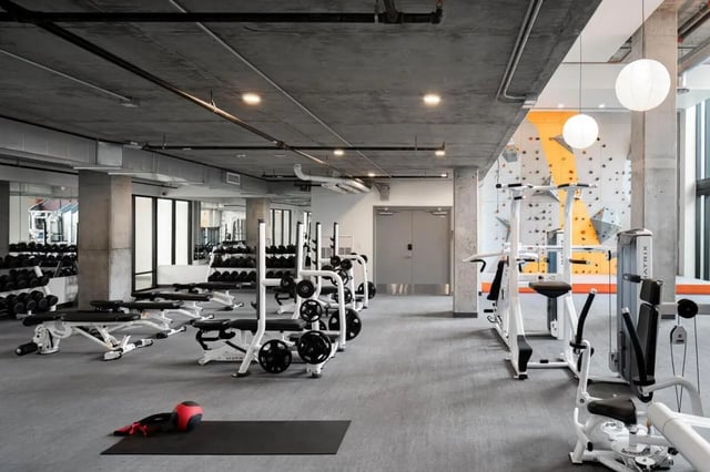 Gym with weights climbing wall and machines Fitness room at The Carmin in Tempe Student Accommodation