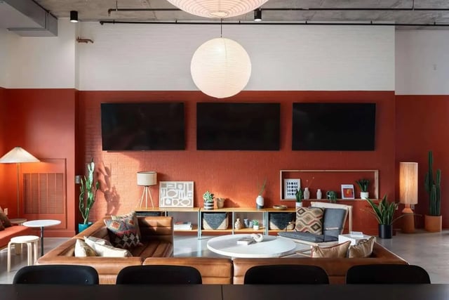 Leather couches three TVs and plants living room at The Carmin in Tempe Student Accommodation