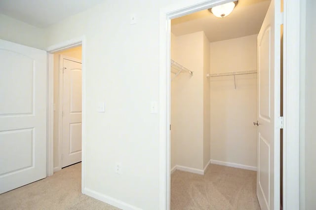 Walk in closet with wire shelving closet at Mountain Valley Apartments in Morgantown Student Accommodation