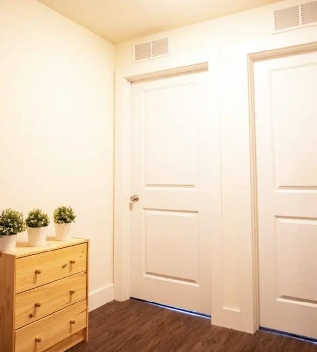 Dresser with plants and doors hallway interior at The Eleanor at Chestnut Apartments in Philadelphia Student Accommodation