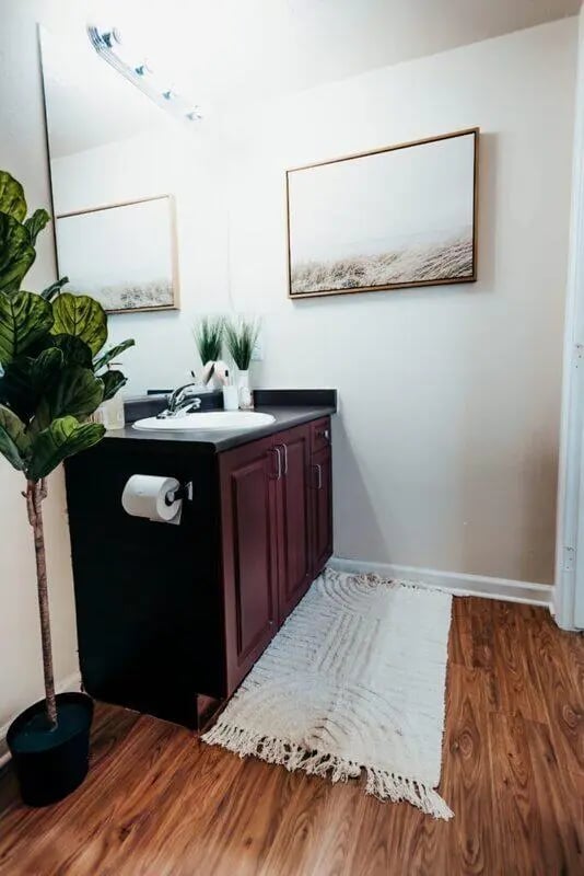 Sink vanity toilet roll plant artwork bathroom at Maverick Place Apartments in Arlington Student Accommodation