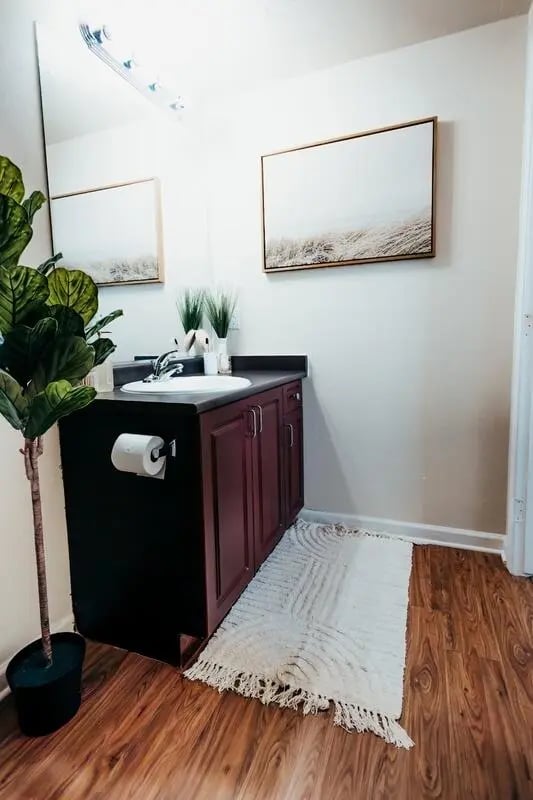 Sink vanity with artwork and plant bathroom at Maverick Place Apartments in Arlington Student Accommodation