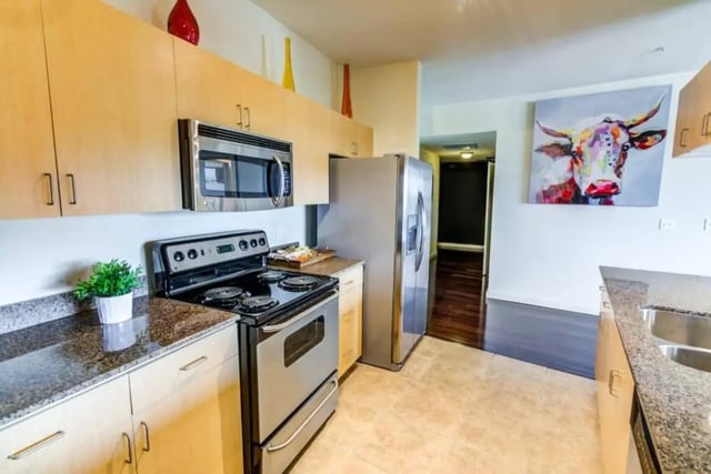Stainless steel appliances and modern cabinets kitchen at Venue On Guadalupe in Austin Student Accommodation