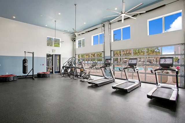 Treadmills stair climbers punching bag fitness room at Venue at North Campus in Tampa Student Accommodation